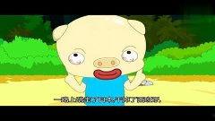 毕加猪在线视频,趣味横生的动物日常大揭秘